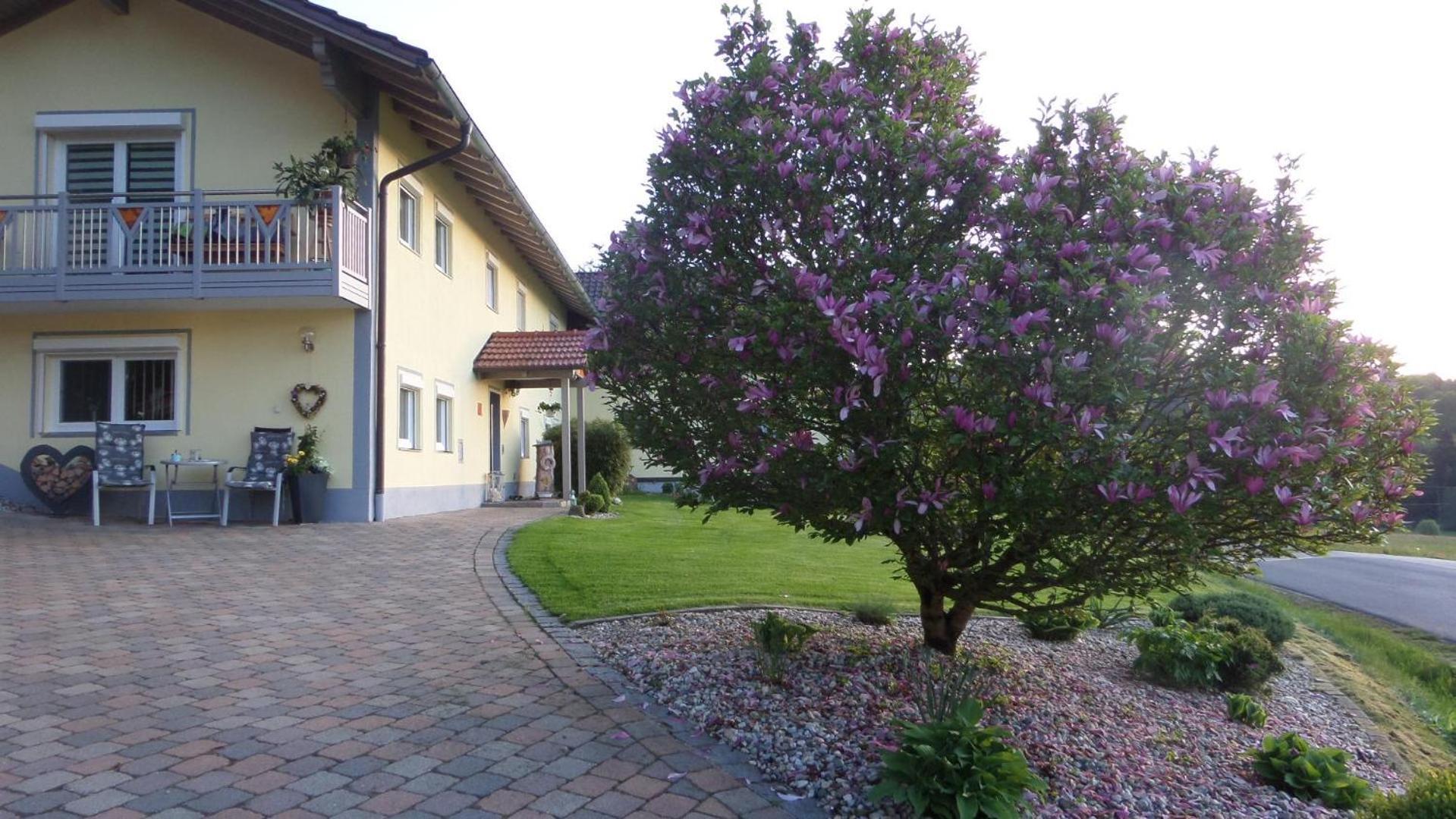 Fw & Fh Luesselfeld Daire Zwiesel Dış mekan fotoğraf